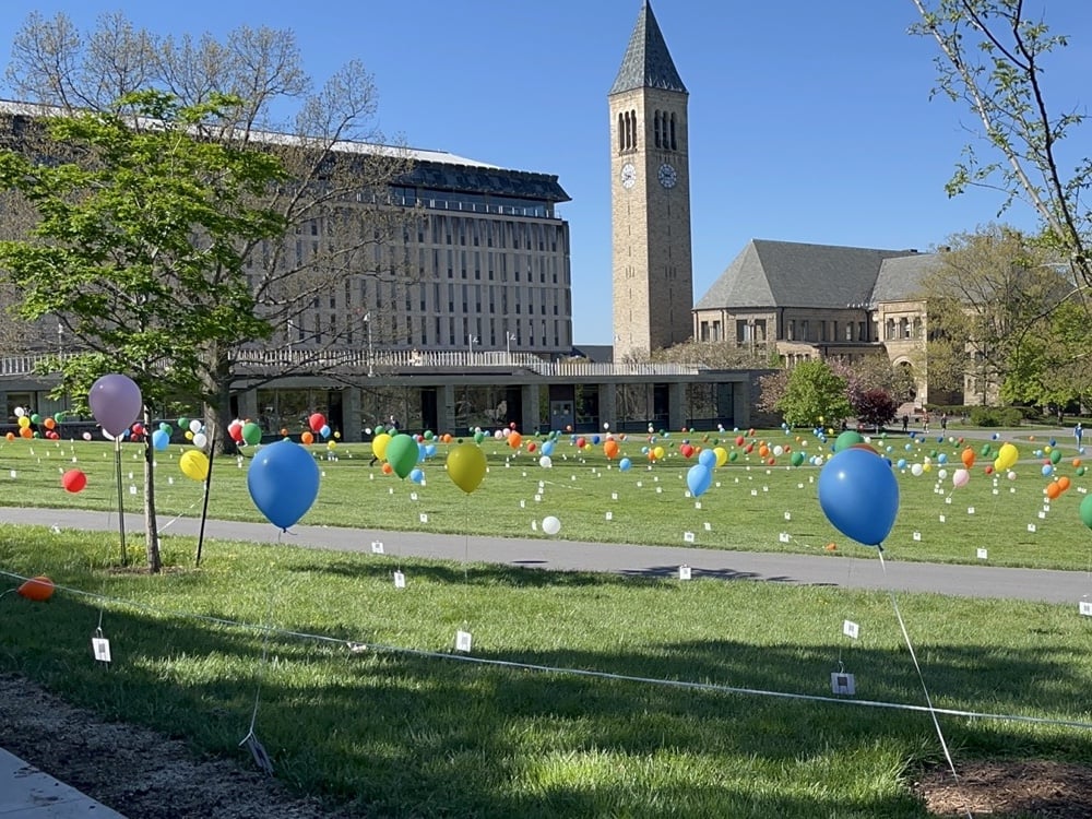 Cornell Lifted